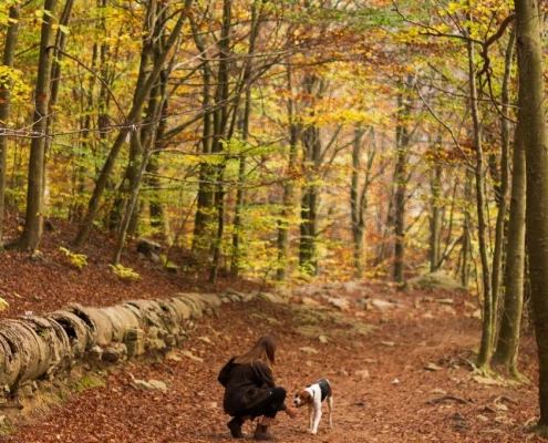 mujer paseando su perro por un bosque otoñal